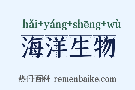 海洋生物是什么意思的图片